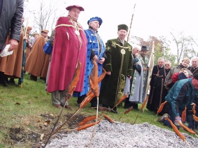 hírkép
