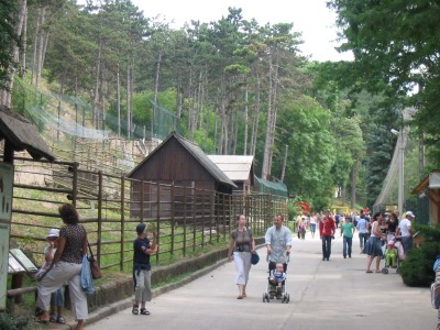 Hirkép