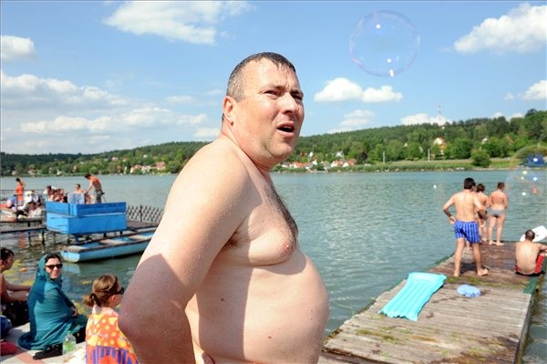 hírkép