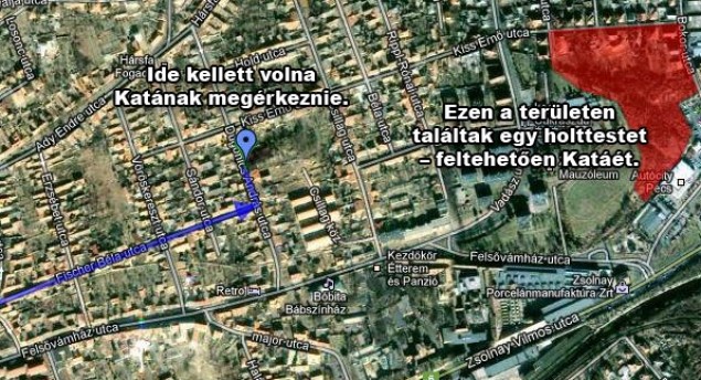 hírkép