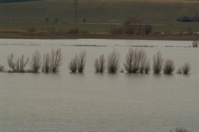 Hirkép