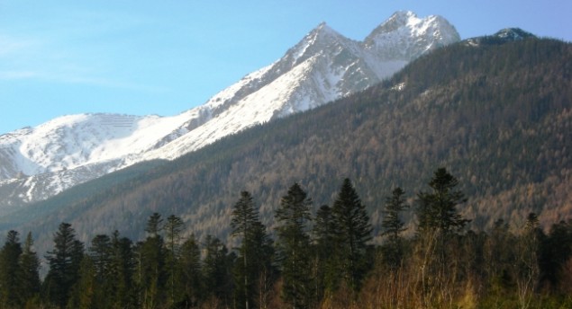 hírkép