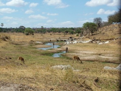 Hirkép