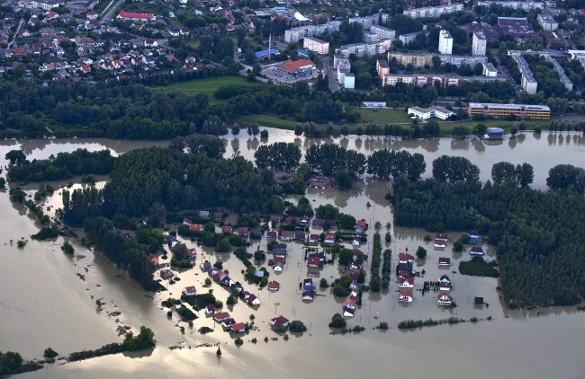 hírkép
